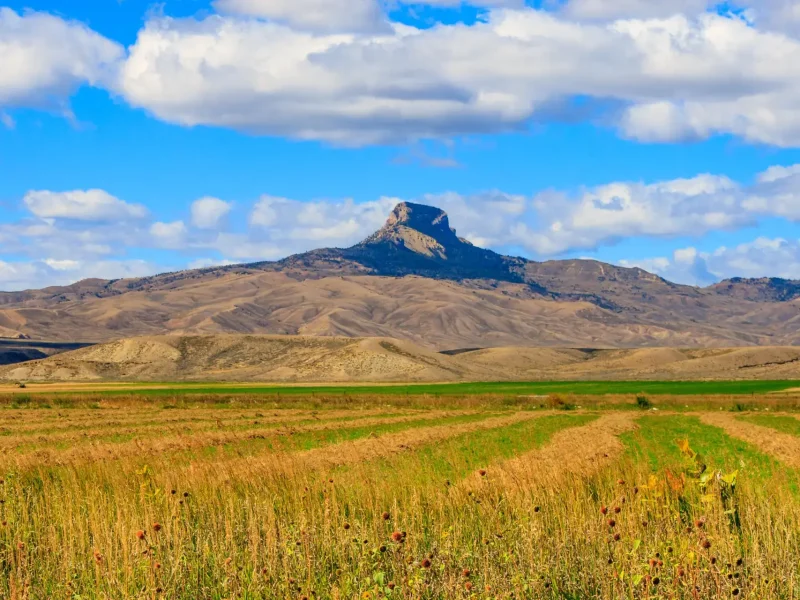 Wyoming landscape featuring open fields and rugged heart mountain terrain under a bright sky