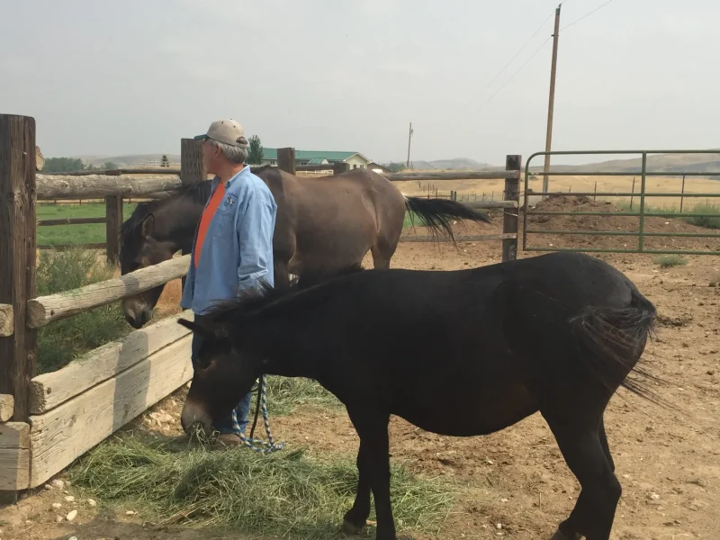 RJ Kost on a farm with horses in rural Wyoming, reflecting agricultural roots and lifestyle